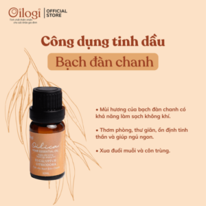 Oilogi-be1baa1ch-c491c3a0n-chanh-10-510x510-1