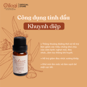 Oilogi-khuynh-die1bb87p-10-510x510-1